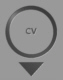 ps_cv_n